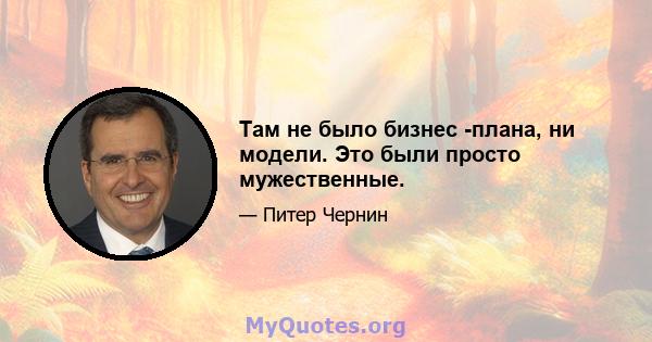 Там не было бизнес -плана, ни модели. Это были просто мужественные.