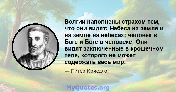 Волгии наполнены страхом тем, что они видят; Небеса на земле и на земле на небесах; человек в Боге и Боге в человеке; Они видят заключенные в крошечном теле, которого не может содержать весь мир.