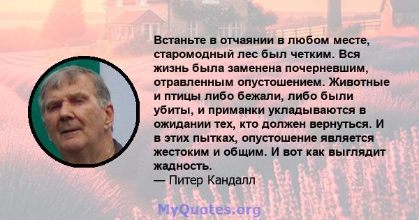 Встаньте в отчаянии в любом месте, старомодный лес был четким. Вся жизнь была заменена почерневшим, отравленным опустошением. Животные и птицы либо бежали, либо были убиты, и приманки укладываются в ожидании тех, кто