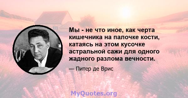 Мы - не что иное, как черта кишечника на палочке кости, катаясь на этом кусочке астральной сажи для одного жадного разлома вечности.