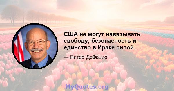 США не могут навязывать свободу, безопасность и единство в Ираке силой.