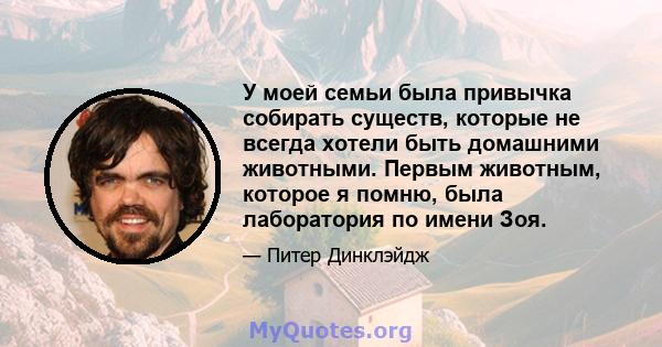 У моей семьи была привычка собирать существ, которые не всегда хотели быть домашними животными. Первым животным, которое я помню, была лаборатория по имени Зоя.