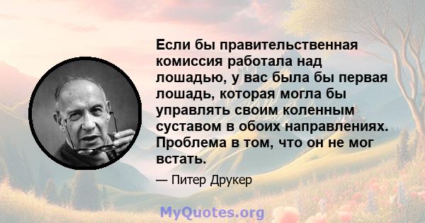 Если бы правительственная комиссия работала над лошадью, у вас была бы первая лошадь, которая могла бы управлять своим коленным суставом в обоих направлениях. Проблема в том, что он не мог встать.