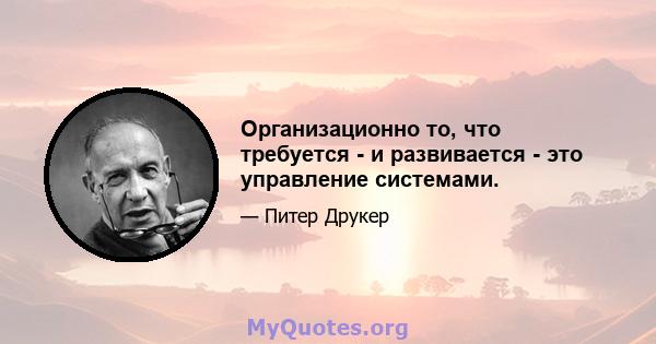 Организационно то, что требуется - и развивается - это управление системами.