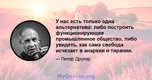 У нас есть только одна альтернатива: либо построить функционирующее промышленное общество, либо увидеть, как сама свобода исчезает в анархии и тирании.