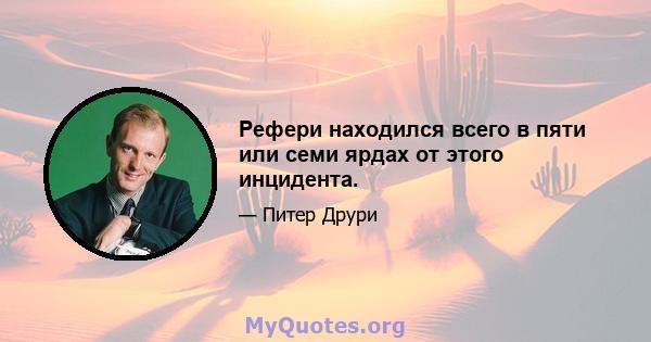 Рефери находился всего в пяти или семи ярдах от этого инцидента.