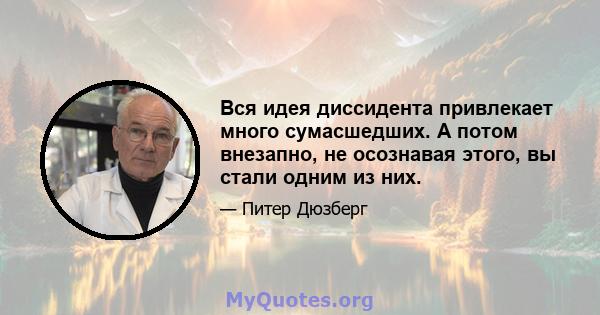 Вся идея диссидента привлекает много сумасшедших. А потом внезапно, не осознавая этого, вы стали одним из них.