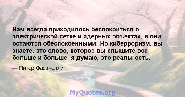 Нам всегда приходилось беспокоиться о электрической сетке и ядерных объектах, и они остаются обеспокоенными; Но киберроризм, вы знаете, это слово, которое вы слышите все больше и больше, я думаю, это реальность.