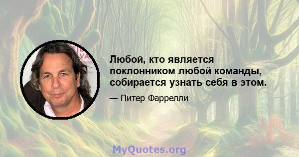 Любой, кто является поклонником любой команды, собирается узнать себя в этом.