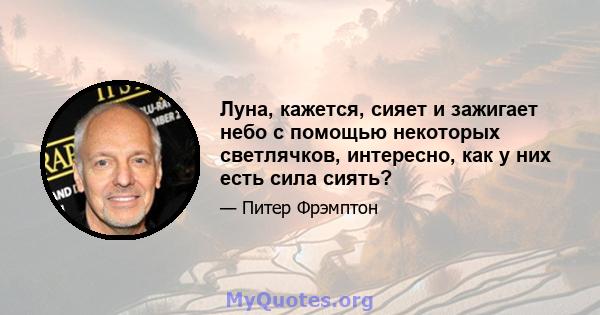 Луна, кажется, сияет и зажигает небо с помощью некоторых светлячков, интересно, как у них есть сила сиять?