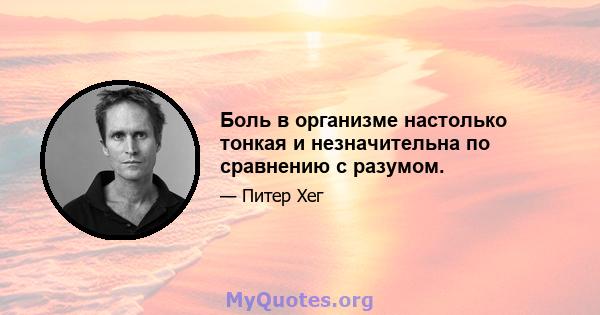 Боль в организме настолько тонкая и незначительна по сравнению с разумом.