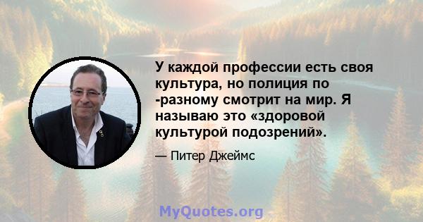 У каждой профессии есть своя культура, но полиция по -разному смотрит на мир. Я называю это «здоровой культурой подозрений».