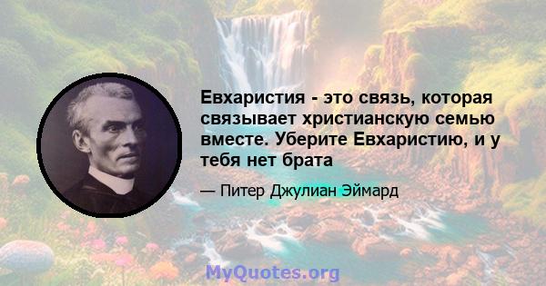 Евхаристия - это связь, которая связывает христианскую семью вместе. Уберите Евхаристию, и у тебя нет брата