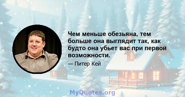 Чем меньше обезьяна, тем больше она выглядит так, как будто она убьет вас при первой возможности.