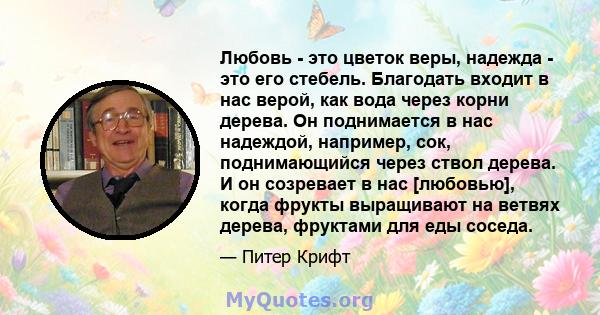 Любовь - это цветок веры, надежда - это его стебель. Благодать входит в нас верой, как вода через корни дерева. Он поднимается в нас надеждой, например, сок, поднимающийся через ствол дерева. И он созревает в нас