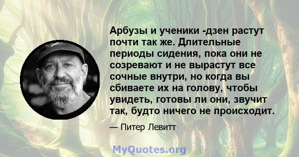 Арбузы и ученики -дзен растут почти так же. Длительные периоды сидения, пока они не созревают и не вырастут все сочные внутри, но когда вы сбиваете их на голову, чтобы увидеть, готовы ли они, звучит так, будто ничего не 