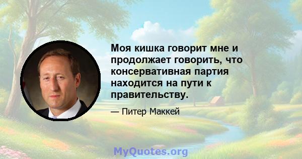 Моя кишка говорит мне и продолжает говорить, что консервативная партия находится на пути к правительству.