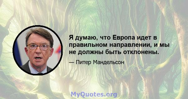 Я думаю, что Европа идет в правильном направлении, и мы не должны быть отклонены.