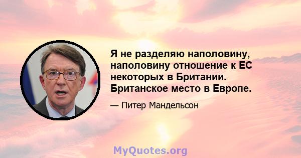 Я не разделяю наполовину, наполовину отношение к ЕС некоторых в Британии. Британское место в Европе.