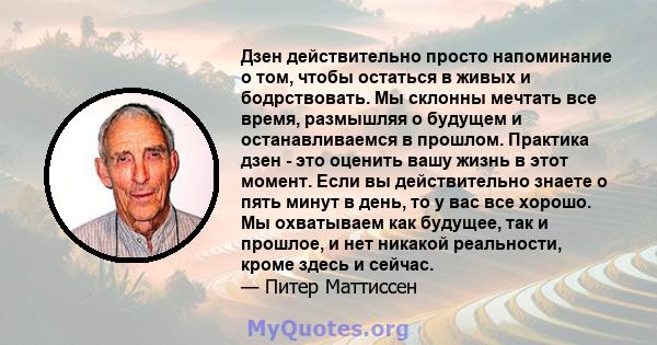 Дзен действительно просто напоминание о том, чтобы остаться в живых и бодрствовать. Мы склонны мечтать все время, размышляя о будущем и останавливаемся в прошлом. Практика дзен - это оценить вашу жизнь в этот момент.