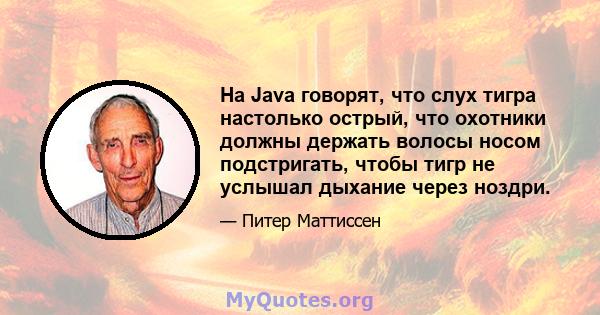 На Java говорят, что слух тигра настолько острый, что охотники должны держать волосы носом подстригать, чтобы тигр не услышал дыхание через ноздри.