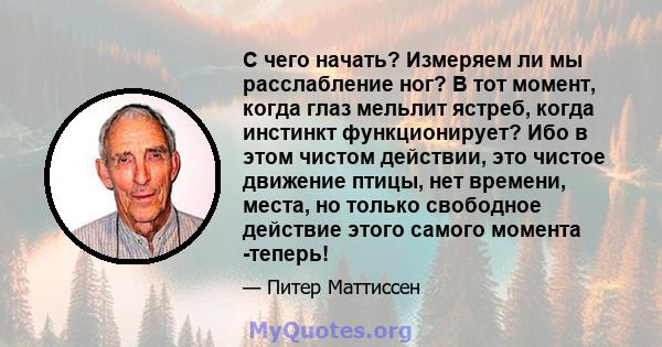 С чего начать? Измеряем ли мы расслабление ног? В тот момент, когда глаз мельлит ястреб, когда инстинкт функционирует? Ибо в этом чистом действии, это чистое движение птицы, нет времени, места, но только свободное