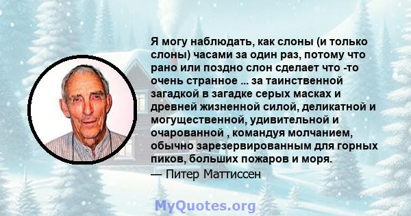 Я могу наблюдать, как слоны (и только слоны) часами за один раз, потому что рано или поздно слон сделает что -то очень странное ... за таинственной загадкой в ​​загадке серых масках и древней жизненной силой, деликатной 