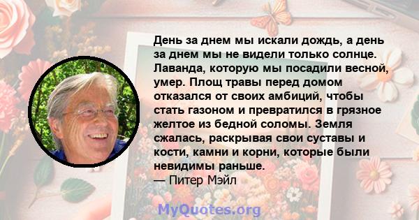 День за днем ​​мы искали дождь, а день за днем ​​мы не видели только солнце. Лаванда, которую мы посадили весной, умер. Площ травы перед домом отказался от своих амбиций, чтобы стать газоном и превратился в грязное