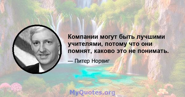 Компании могут быть лучшими учителями, потому что они помнят, каково это не понимать.