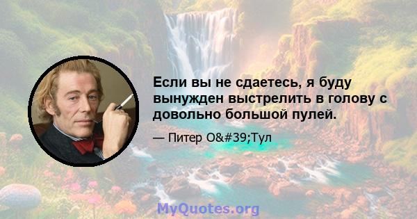 Если вы не сдаетесь, я буду вынужден выстрелить в голову с довольно большой пулей.