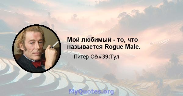 Мой любимый - то, что называется Rogue Male.