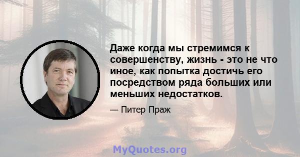 Даже когда мы стремимся к совершенству, жизнь - это не что иное, как попытка достичь его посредством ряда больших или меньших недостатков.