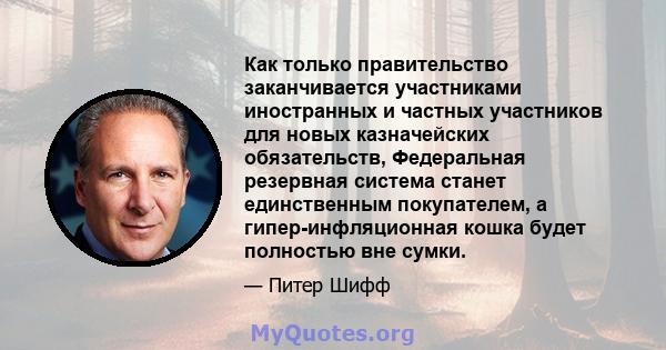 Как только правительство заканчивается участниками иностранных и частных участников для новых казначейских обязательств, Федеральная резервная система станет единственным покупателем, а гипер-инфляционная кошка будет