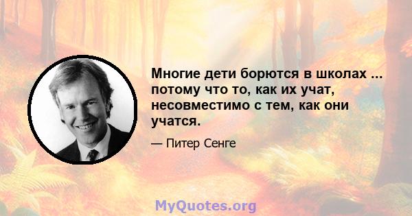 Многие дети борются в школах ... потому что то, как их учат, несовместимо с тем, как они учатся.