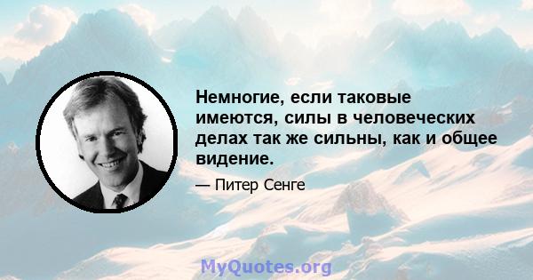 Немногие, если таковые имеются, силы в человеческих делах так же сильны, как и общее видение.