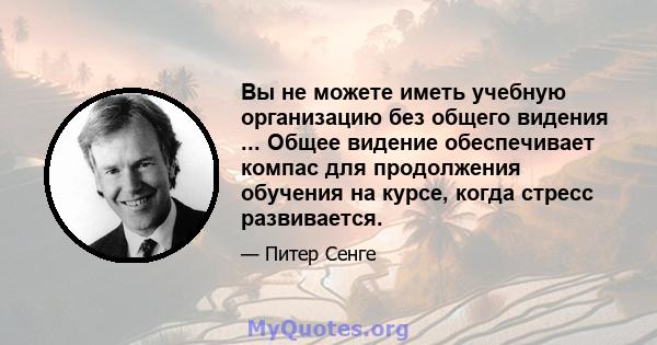 Вы не можете иметь учебную организацию без общего видения ... Общее видение обеспечивает компас для продолжения обучения на курсе, когда стресс развивается.