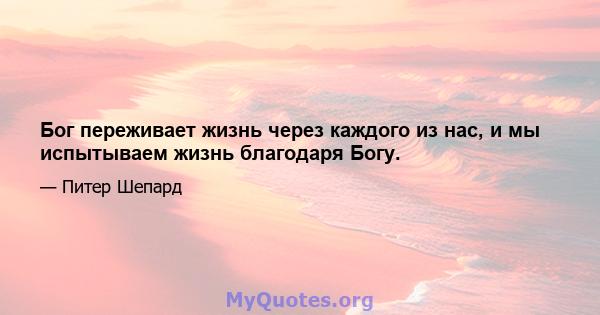 Бог переживает жизнь через каждого из нас, и мы испытываем жизнь благодаря Богу.