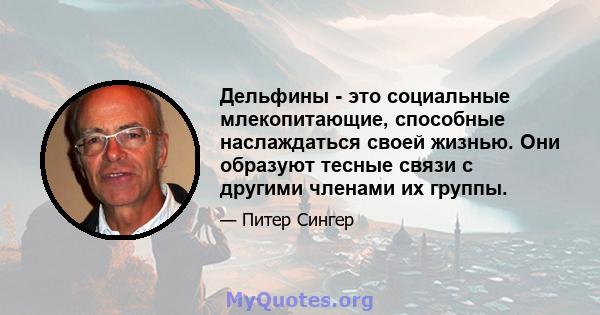 Дельфины - это социальные млекопитающие, способные наслаждаться своей жизнью. Они образуют тесные связи с другими членами их группы.