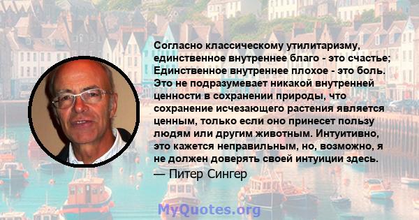 Согласно классическому утилитаризму, единственное внутреннее благо - это счастье; Единственное внутреннее плохое - это боль. Это не подразумевает никакой внутренней ценности в сохранении природы, что сохранение