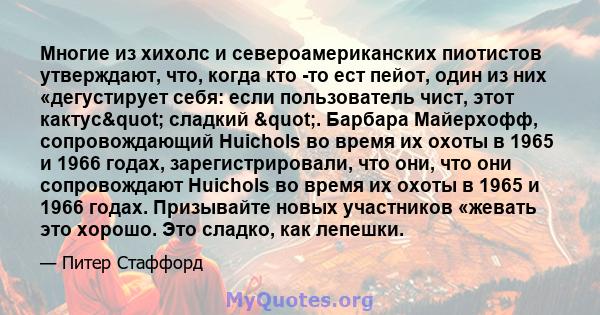 Многие из хихолс и североамериканских пиотистов утверждают, что, когда кто -то ест пейот, один из них «дегустирует себя: если пользователь чист, этот кактус" сладкий ". Барбара Майерхофф, сопровождающий