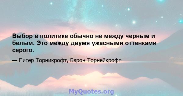 Выбор в политике обычно не между черным и белым. Это между двумя ужасными оттенками серого.