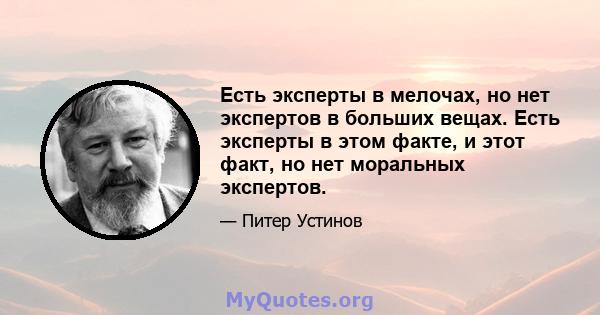 Есть эксперты в мелочах, но нет экспертов в больших вещах. Есть эксперты в этом факте, и этот факт, но нет моральных экспертов.