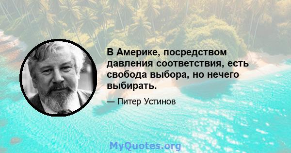 В Америке, посредством давления соответствия, есть свобода выбора, но нечего выбирать.