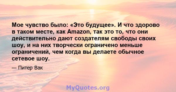 Мое чувство было: «Это будущее». И что здорово в таком месте, как Amazon, так это то, что они действительно дают создателям свободы своих шоу, и на них творчески ограничено меньше ограничений, чем когда вы делаете