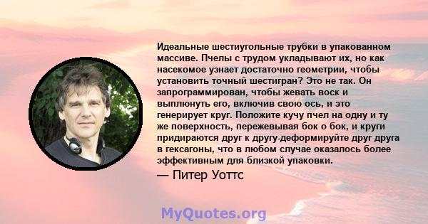 Идеальные шестиугольные трубки в упакованном массиве. Пчелы с трудом укладывают их, но как насекомое узнает достаточно геометрии, чтобы установить точный шестигран? Это не так. Он запрограммирован, чтобы жевать воск и