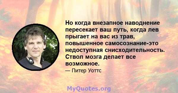 Но когда внезапное наводнение пересекает ваш путь, когда лев прыгает на вас из трав, повышенное самосознание-это недоступная снисходительность. Ствол мозга делает все возможное.