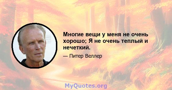 Многие вещи у меня не очень хорошо; Я не очень теплый и нечеткий.