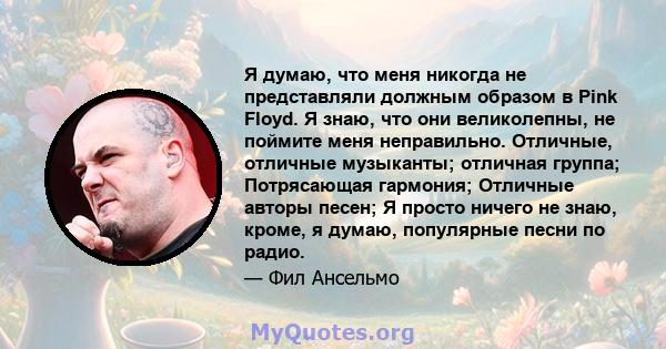 Я думаю, что меня никогда не представляли должным образом в Pink Floyd. Я знаю, что они великолепны, не поймите меня неправильно. Отличные, отличные музыканты; отличная группа; Потрясающая гармония; Отличные авторы