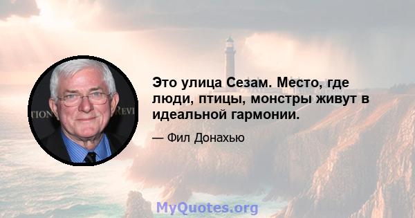 Это улица Сезам. Место, где люди, птицы, монстры живут в идеальной гармонии.