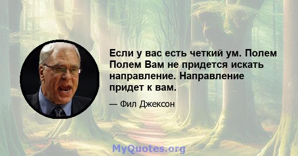 Если у вас есть четкий ум. Полем Полем Вам не придется искать направление. Направление придет к вам.